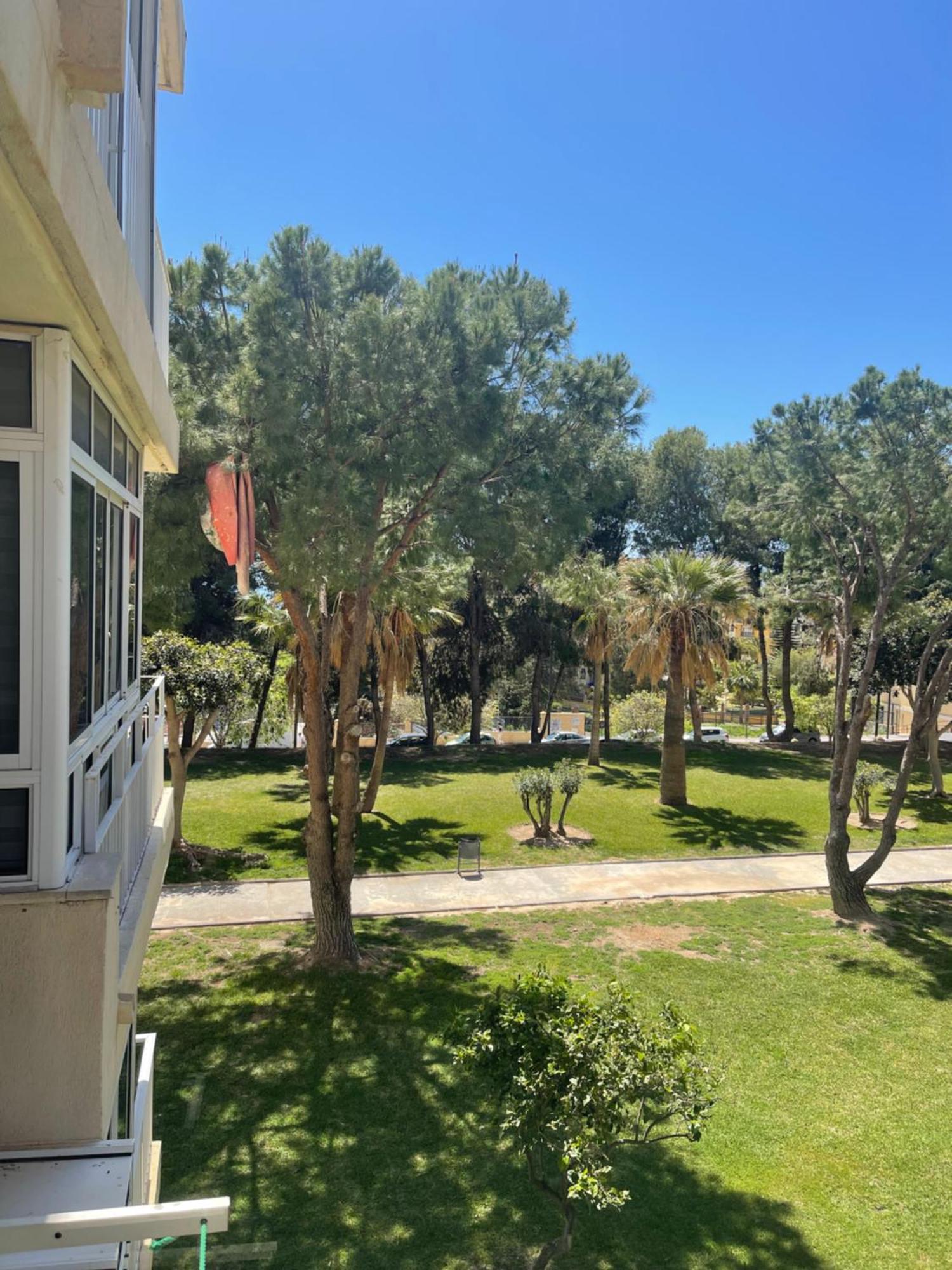 Apartamento Studio Hercules