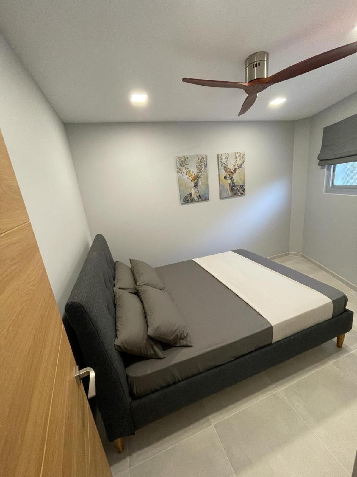 Apartment Apartment Love