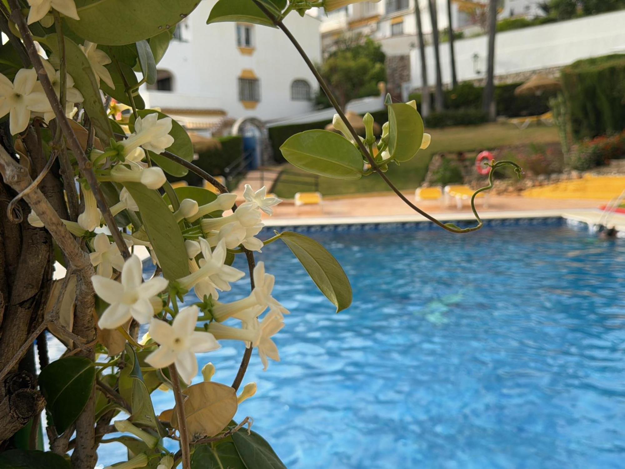 Apartment Summer Paradise In Benalmadena