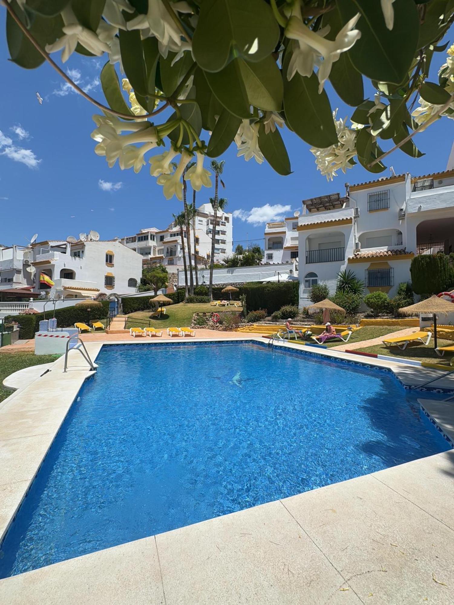Apartment Summer Paradise In *