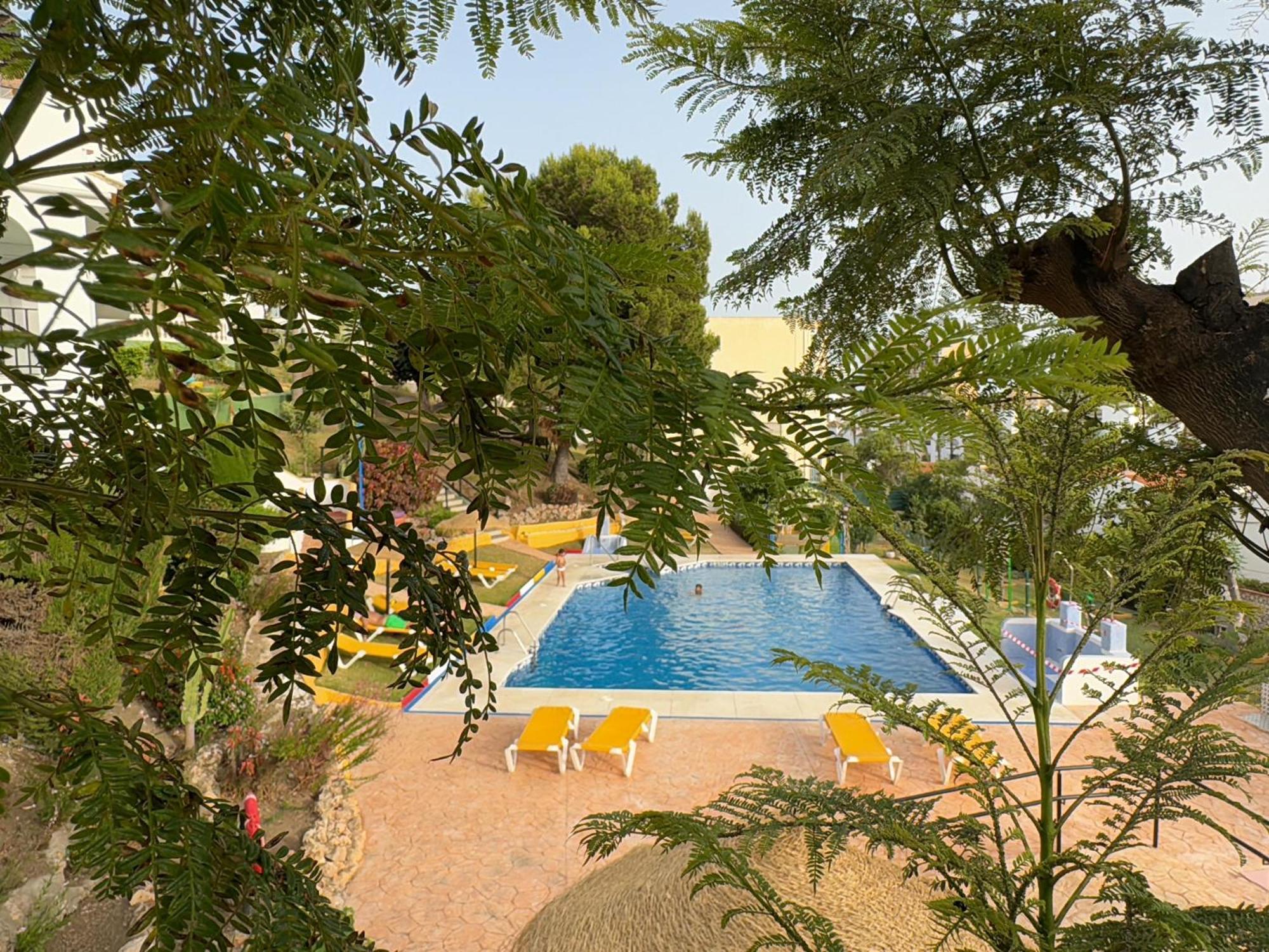 Summer Paradise In *