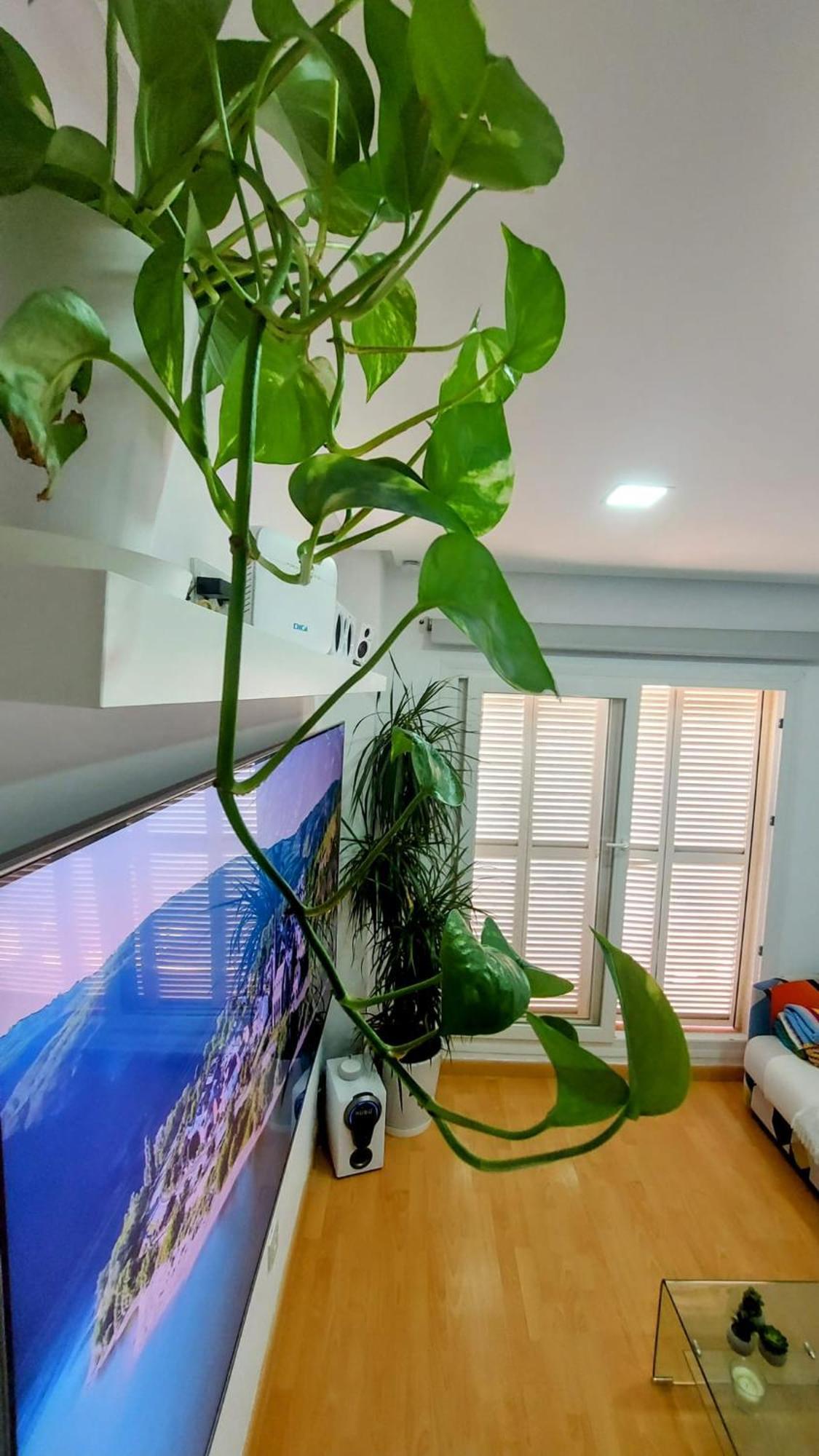 Atico Appartement Benalmádena