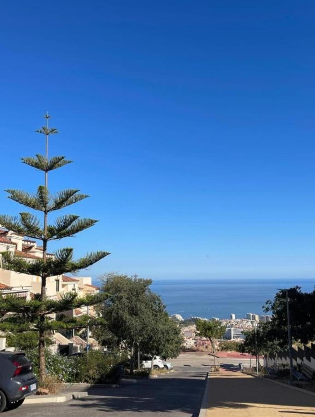 Mimosas Benalmadena