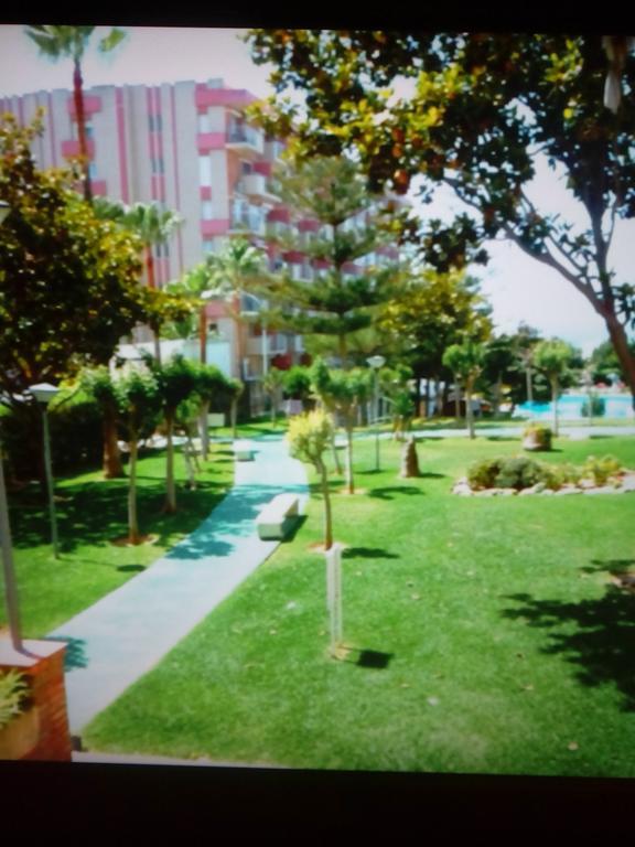 Estudio J-60, Terraza & 1º Planta