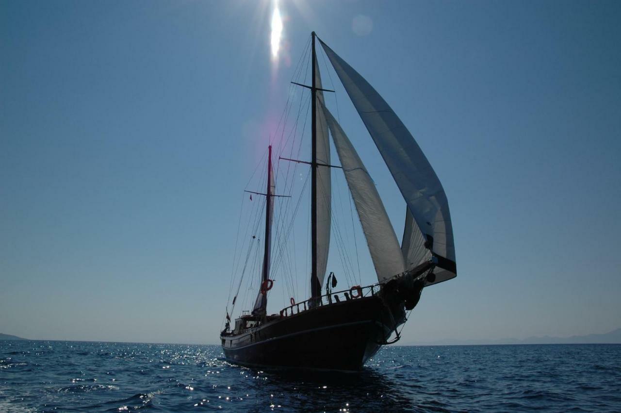 Boat The Umoja Experience *
