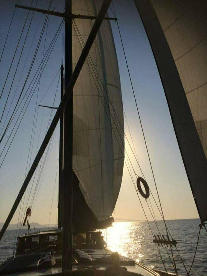Boat The Umoja Experience Benalmadena