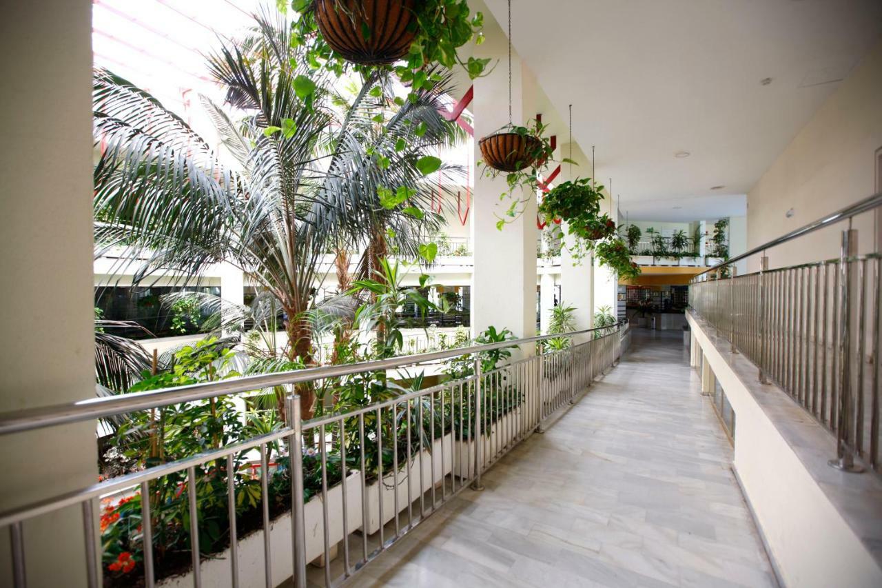 Benalbeach Terrace Appartement