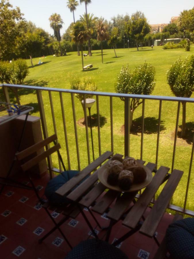 Minerva Evening Sun Study Apartment *