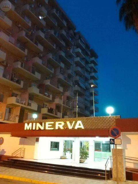 Minerva Evening Sun Study