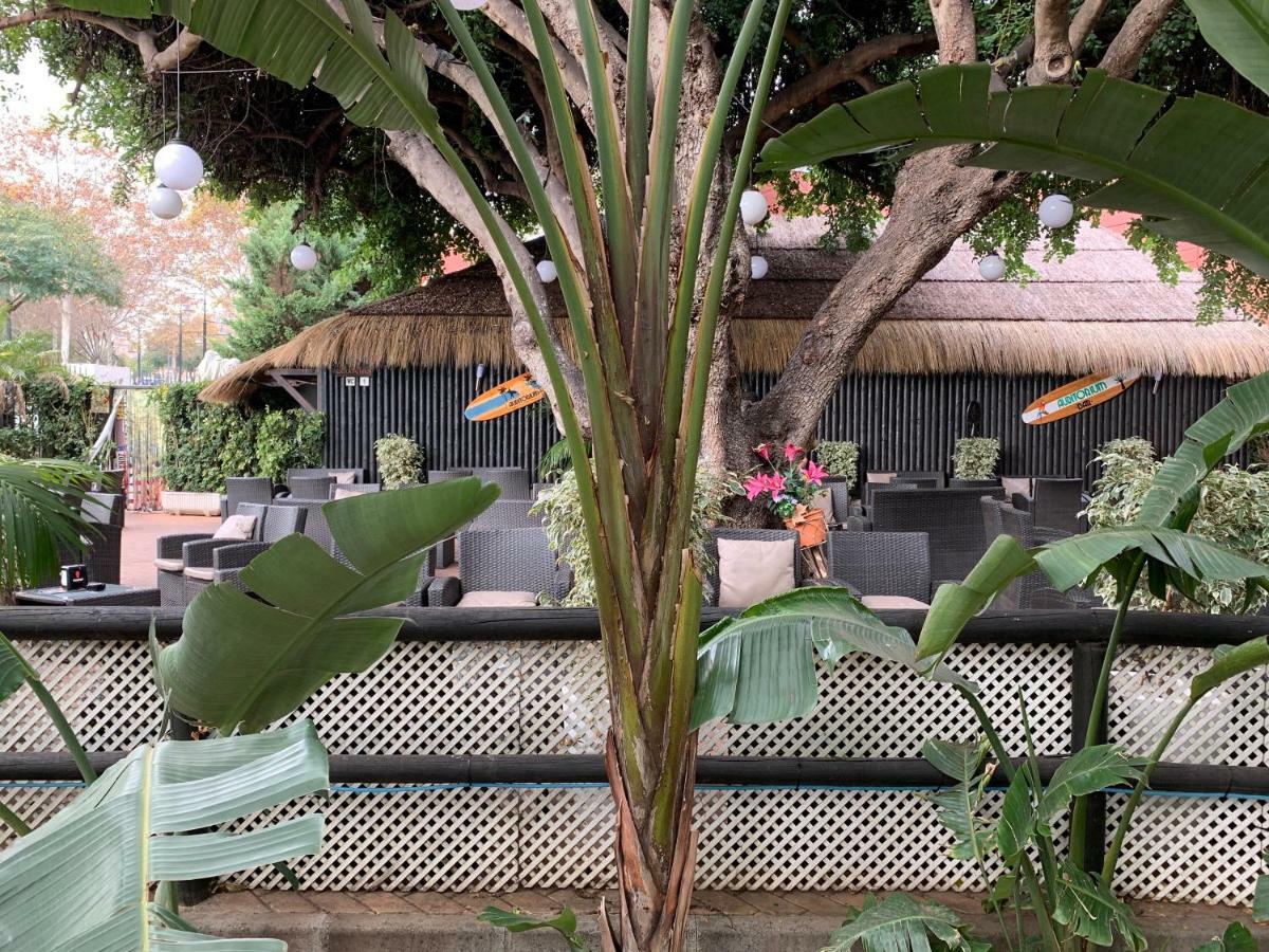 Benalbeach Apartment