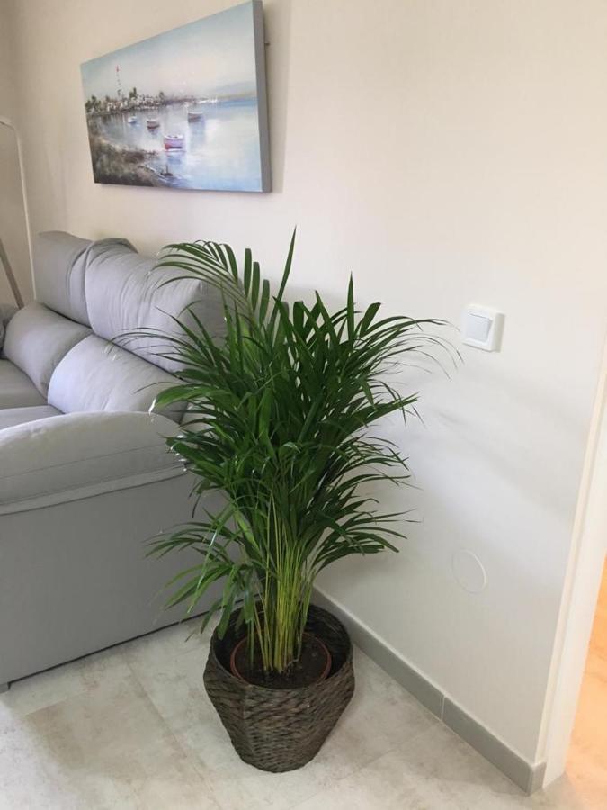 Luxury Minerva Jupiter Apartment *